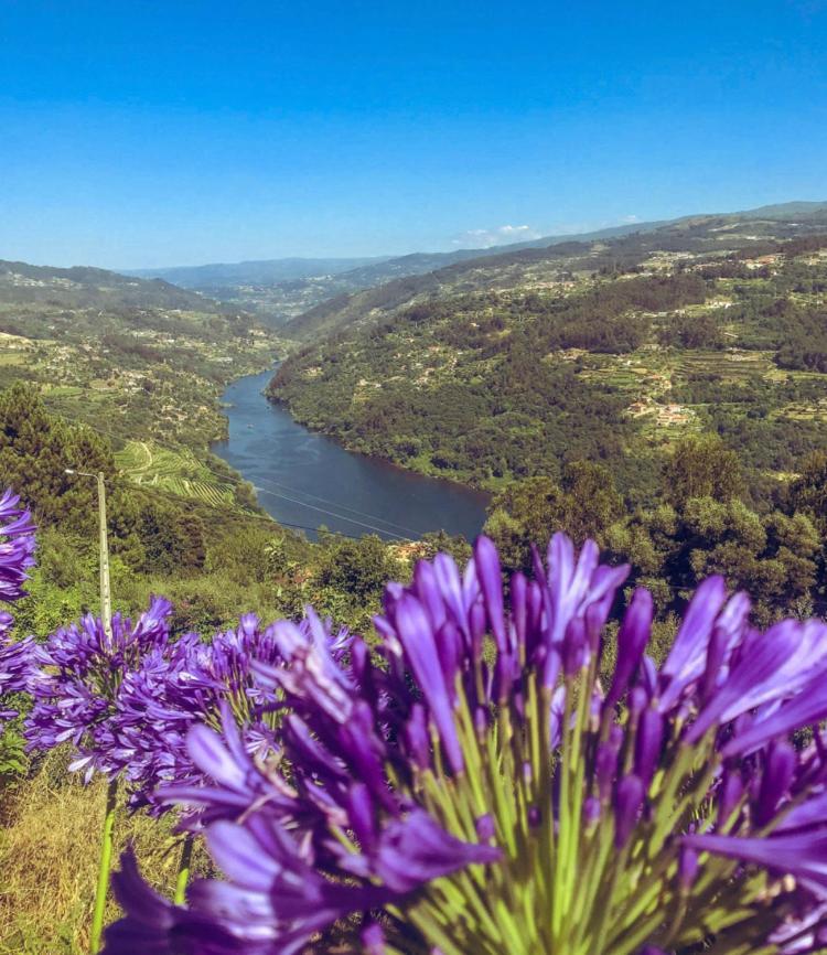 Mira Douro Valley Home Marco de Canavezes 外观 照片