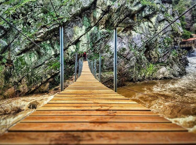 Mira Douro Valley Home Marco de Canavezes 外观 照片